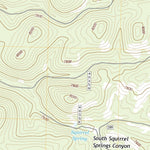 United States Geological Survey Squirrel Springs Canyon, NM (2020, 24000-Scale) digital map