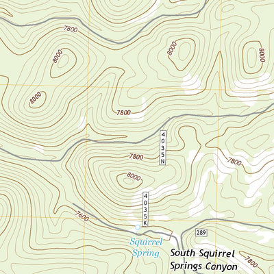 United States Geological Survey Squirrel Springs Canyon, NM (2020, 24000-Scale) digital map