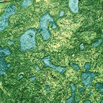 United States Geological Survey Statenville, GA (1971, 24000-Scale) digital map