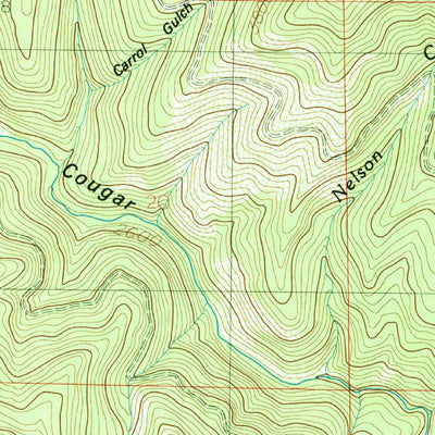United States Geological Survey Steamboat Creek, ID (1985, 24000-Scale) digital map