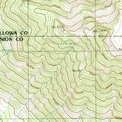 United States Geological Survey Steamboat Lake, OR (1990, 24000-Scale) digital map