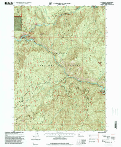 United States Geological Survey Steamboat, OR (1997, 24000-Scale) digital map