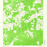 United States Geological Survey Steep Branch, TX (1963, 24000-Scale) digital map