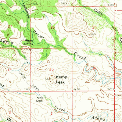 United States Geological Survey Steeple Rock, NM (1959, 62500-Scale) digital map