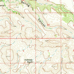 United States Geological Survey Steeple Rock, NM (1959, 62500-Scale) digital map