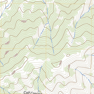 United States Geological Survey Steer Ridge Canyon, UT (2023, 24000-Scale) digital map