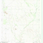 United States Geological Survey Straddlebug Mountain, TX (1983, 24000-Scale) digital map