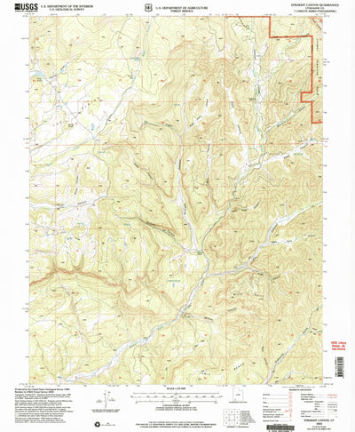United States Geological Survey Straight Canyon, UT (2002, 24000-Scale) digital map