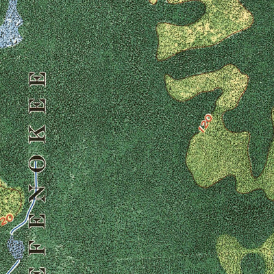 United States Geological Survey Strange Island, GA (1967, 24000-Scale) digital map