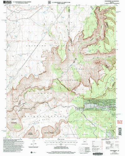 United States Geological Survey Strawberry, AZ (2004, 24000-Scale) digital map