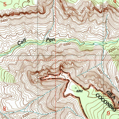 United States Geological Survey Strawberry, AZ (2004, 24000-Scale) digital map