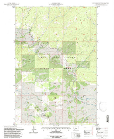 United States Geological Survey Strawberry Butte, MT (1995, 24000-Scale) digital map