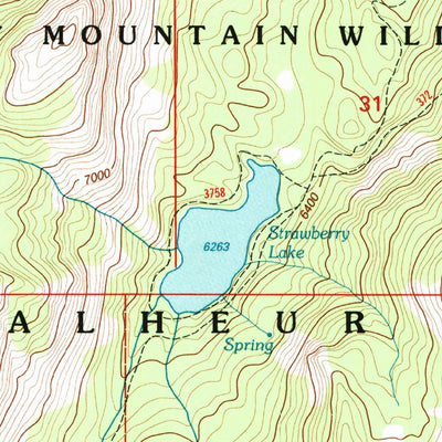 United States Geological Survey Strawberry Mountain, OR (1996, 24000-Scale) digital map