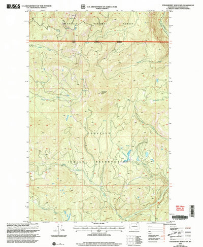 United States Geological Survey Strawberry Mountain, WA (2001, 24000-Scale) digital map