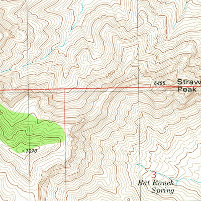United States Geological Survey Strawberry Peak, NM (1981, 24000-Scale) digital map