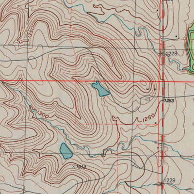 United States Geological Survey Strong City, KS (1989, 24000-Scale) digital map