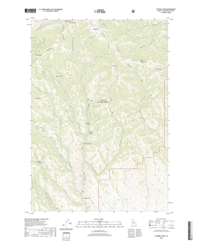 United States Geological Survey Sturgill Peak, ID (2020, 24000-Scale) digital map