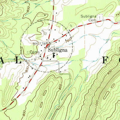 United States Geological Survey Subligna, GA (1967, 24000-Scale) digital map