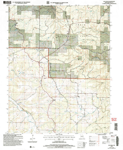 United States Geological Survey Success, MO (2004, 24000-Scale) digital map