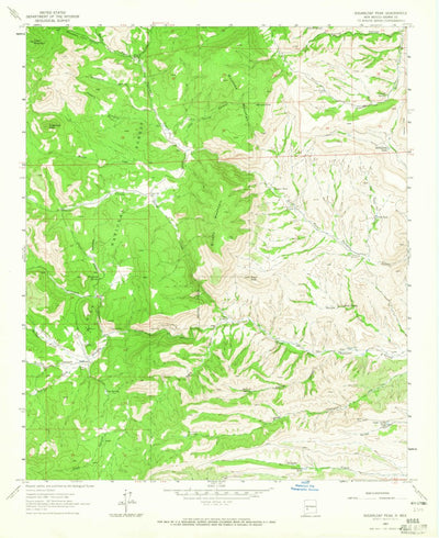 United States Geological Survey Sugarloaf Peak, NM (1963, 24000-Scale) digital map