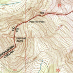 United States Geological Survey Suiattle Pass, WA (1999, 24000-Scale) digital map