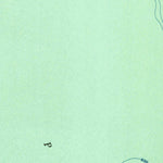 United States Geological Survey Sumdum D-6, AK (1948, 63360-Scale) digital map