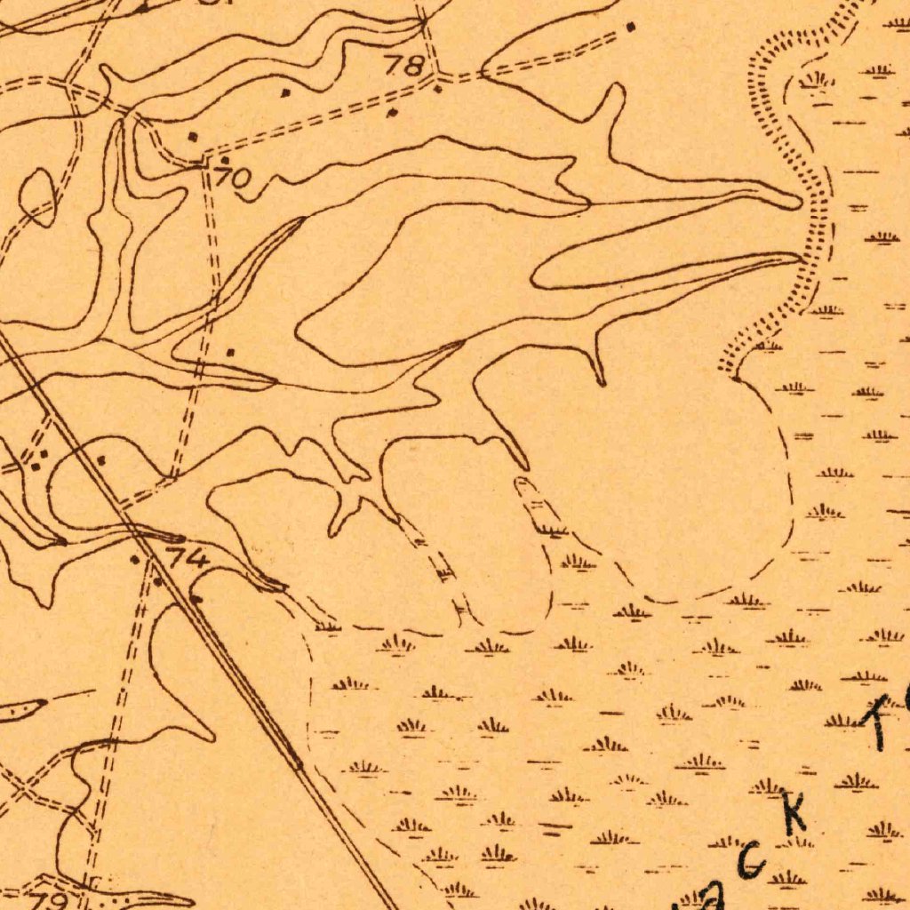 Summerville, SC (1919, 48000Scale) Map by United States Geological