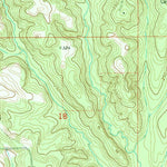 United States Geological Survey Surginer, AL (1978, 24000-Scale) digital map