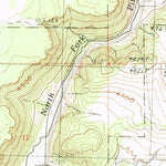 United States Geological Survey Surprise Station, CA (1990, 24000-Scale) digital map
