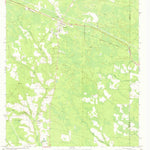 United States Geological Survey Surrency, GA (1971, 24000-Scale) digital map