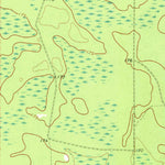 United States Geological Survey Surrency, GA (1971, 24000-Scale) digital map