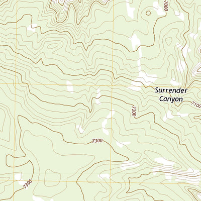 United States Geological Survey Surrender Canyon, NM (2020, 24000-Scale) digital map