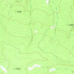 United States Geological Survey Surrender Canyon, NM-AZ (1971, 24000-Scale) digital map