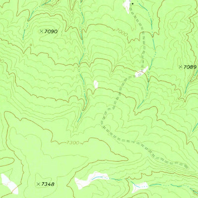 United States Geological Survey Surrender Canyon, NM-AZ (1971, 24000-Scale) digital map