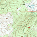 United States Geological Survey Surveyor Mountain, OR (1998, 24000-Scale) digital map