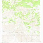 United States Geological Survey Surveyors Canyon, NM (1965, 24000-Scale) digital map