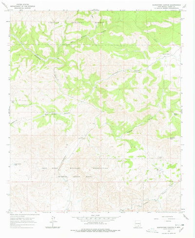 United States Geological Survey Surveyors Canyon, NM (1965, 24000-Scale) digital map