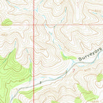 United States Geological Survey Surveyors Canyon, NM (1965, 24000-Scale) digital map