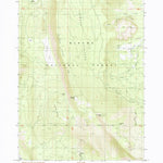 United States Geological Survey Swan Lake Point, OR (1985, 24000-Scale) digital map