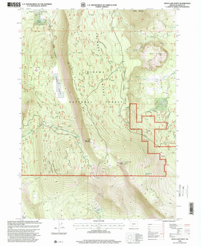 United States Geological Survey Swan Lake Point, OR (1998, 24000-Scale) digital map