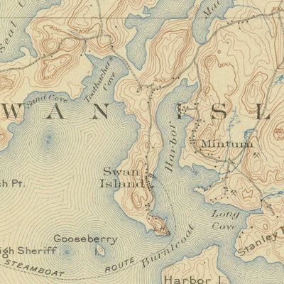 United States Geological Survey Swans Island, ME (1904, 62500-Scale) digital map
