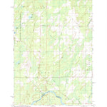 United States Geological Survey Swanson, MI-WI (1982, 24000-Scale) digital map