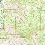 United States Geological Survey Swauk Prairie, WA (1985, 24000-Scale) digital map