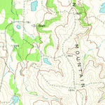 United States Geological Survey Swenson, TX (1968, 24000-Scale) digital map