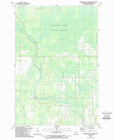 United States Geological Survey Swimming Hole Creek, MI (1989, 24000-Scale) digital map