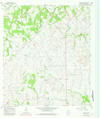 United States Geological Survey Swiss Alp, TX (1965, 24000-Scale) digital map