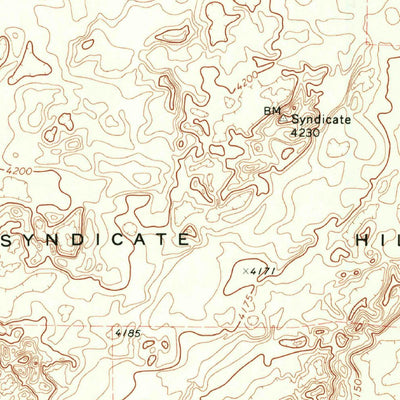 United States Geological Survey Syndicate Hills, TX (1971, 24000-Scale) digital map