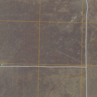 United States Geological Survey Syndicate Hills, TX (2010, 24000-Scale) digital map