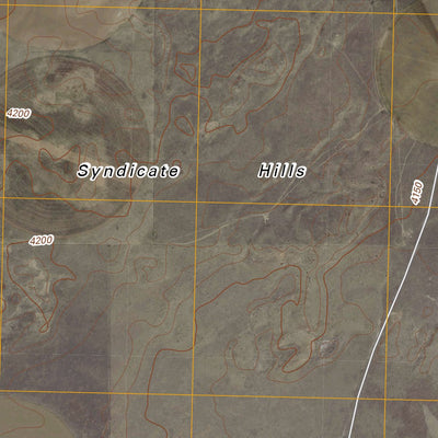 United States Geological Survey Syndicate Hills, TX (2010, 24000-Scale) digital map