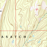 United States Geological Survey Table Mountain, WY (1998, 24000-Scale) digital map